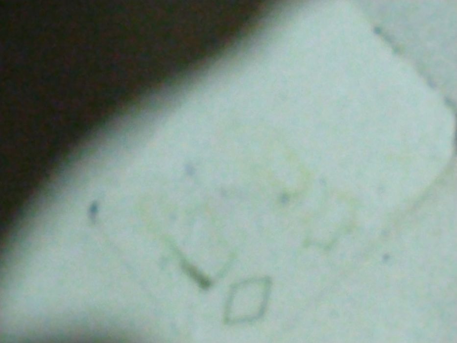 Осень зима ботинки туфли лак KELTON ITALY