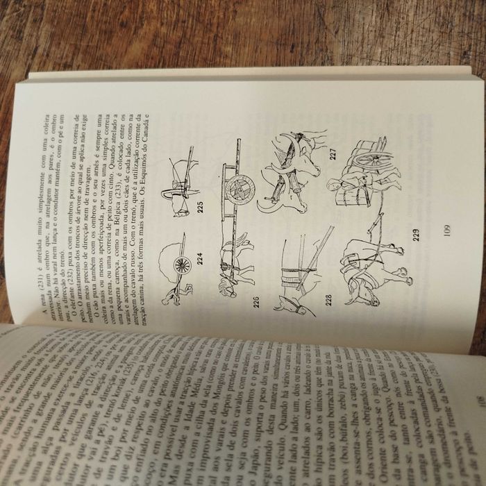 Evolução e Técnicas 2 vols - André Leroi-Gourhan