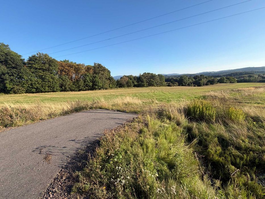 Sprzedam 16,34 ha ziemi rolnej – Modliszów, gm. Świdnica