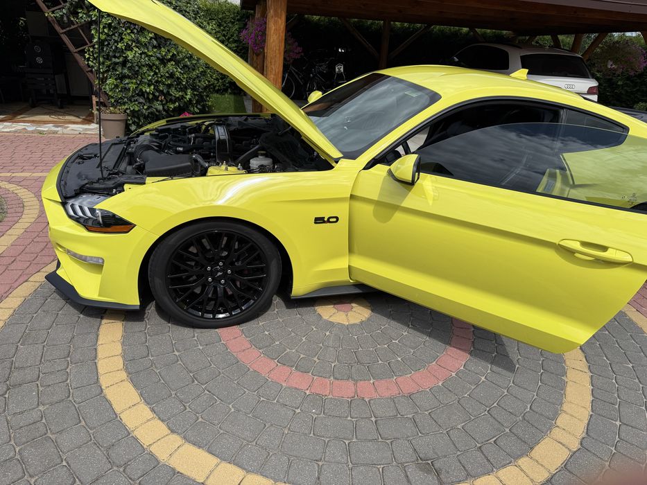 Ford Mustang GT  5.0 Performance