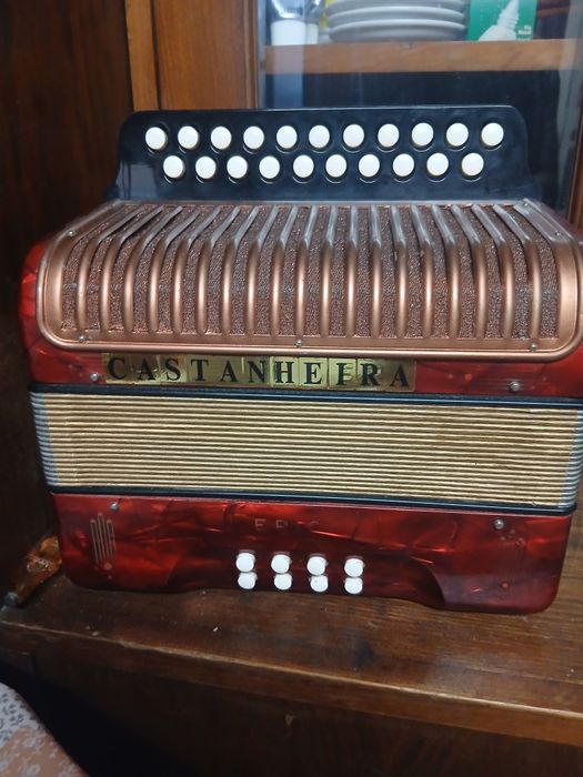Concertina como nova