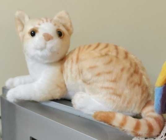 Kot syjamski 26 cm. Realistycznie wyglądający pluszak.