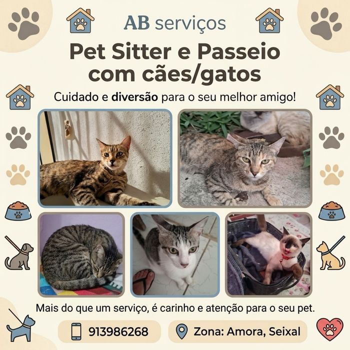 Pet Sitter e Passeio com cães