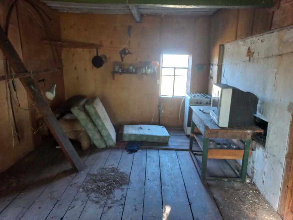 Продам Дом в с.Лошаков Гута, участок 25сот. Киевское море