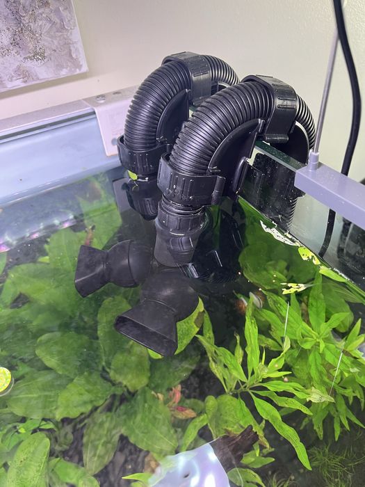 Aquário Plantado 200L - Fluval FX4 | Chihiros | Tropica