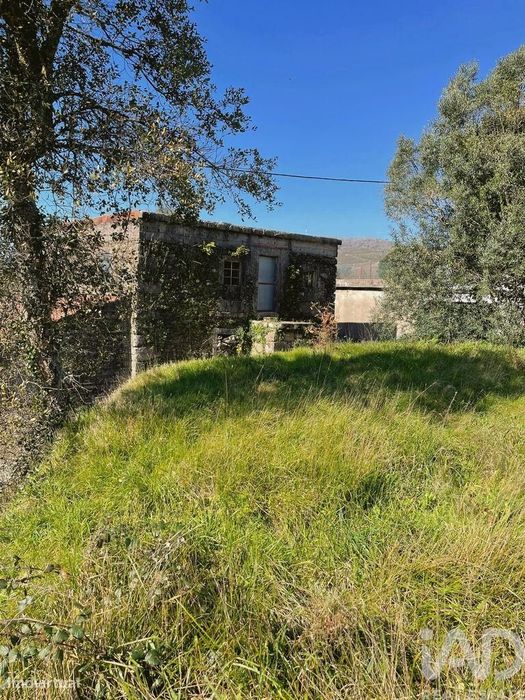 Terreno Agrícola em Montaria