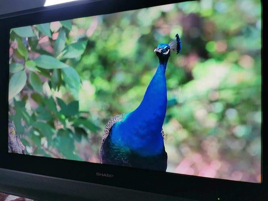 Телевізор sharp 32"