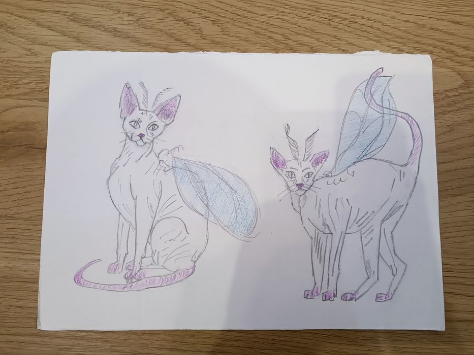 Малюнок, рисунок.