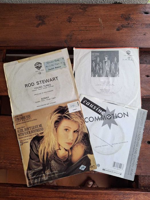 Discos Vinil (1ª Edição)