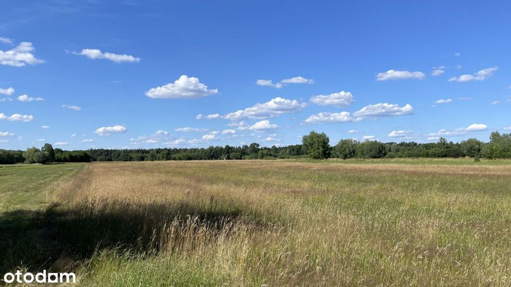 Działka budowlana 1000, 1680 m² - Widok 3