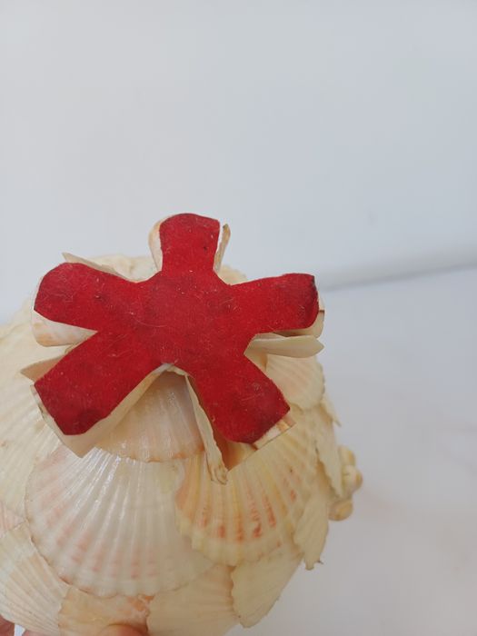 Cesto feito de conchas e búzios