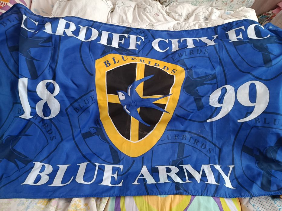 Flaga Cardiff City F.C. chusta