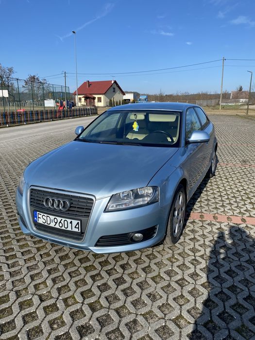 Audi A3 8P, 2008, 1,9tdi