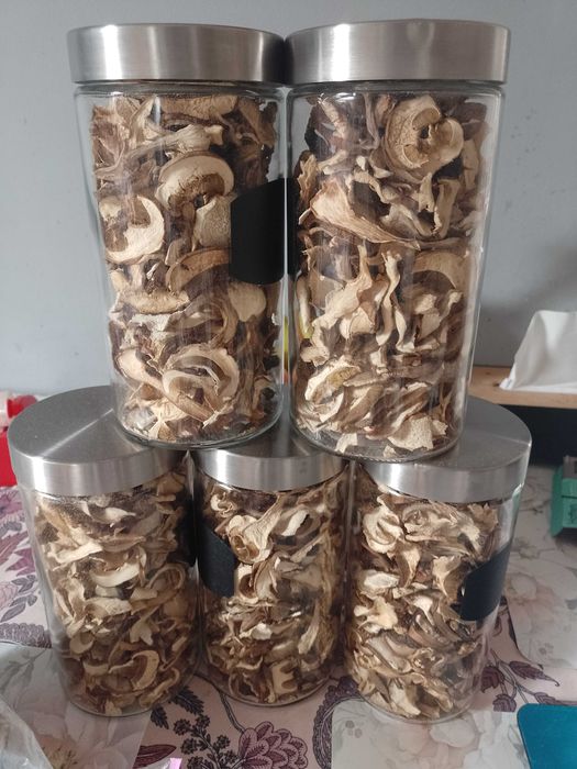 Grzyby suszone 1 kg