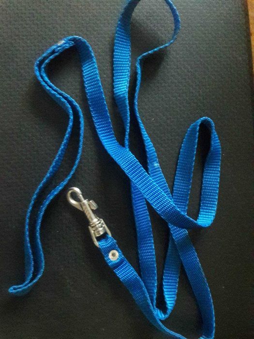 Поменяю поводок нейлоновый синий для собак на комнатные растения