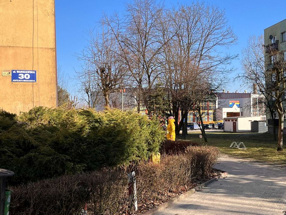 Zdjęcie 8