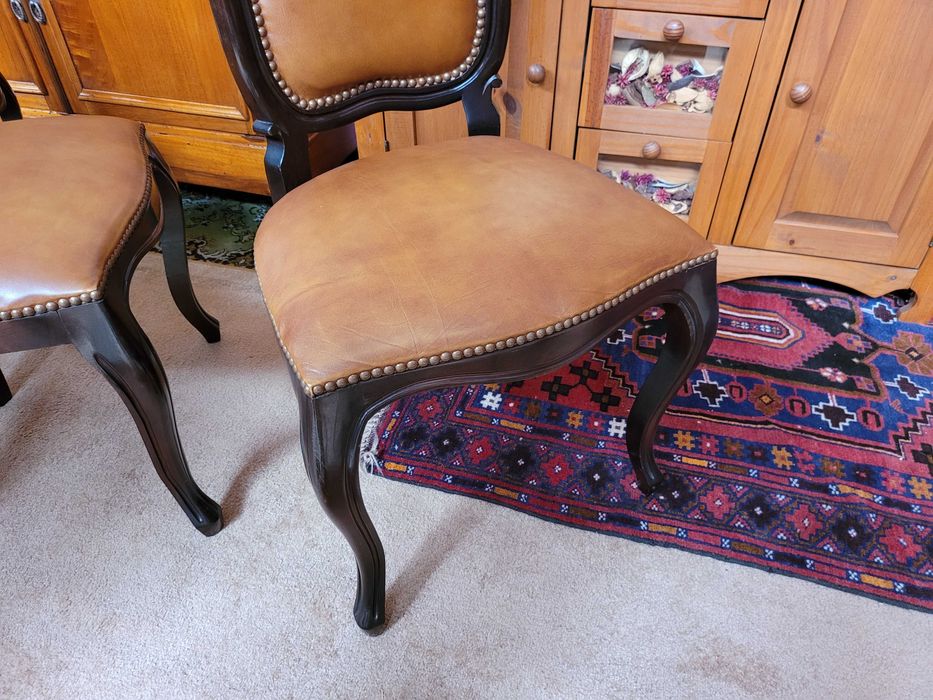 Cadeiras de sala em madeira maciça e pele - óptim