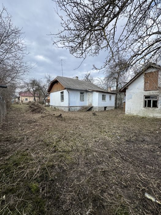 Косіння трави благоустрій ділянки вирубка кущів
