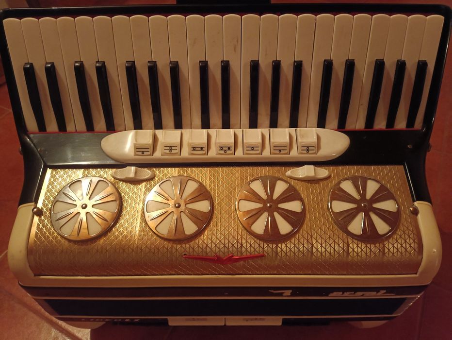 Acordeão bom estado