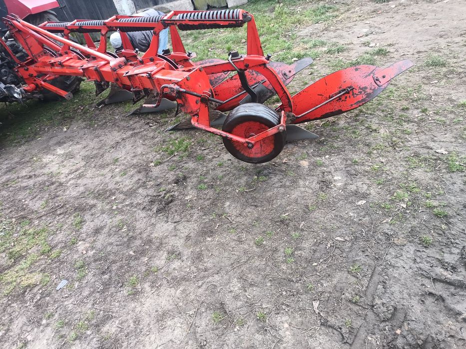 facelia wyka owies mieszanka pług gruber