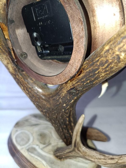 Poroże jelenia zegar trofeum