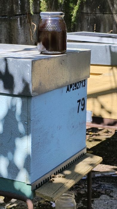 Mel puro do Apicultor