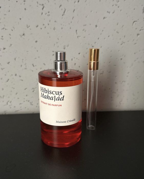Maison crievlli hibiscus mahajad