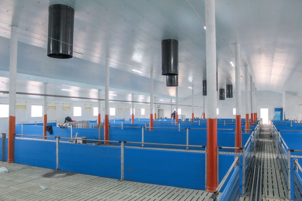 Błękitne Panele Izolacyjne Płyty Styrodur XPS AGRO Podbitka Podsufitka