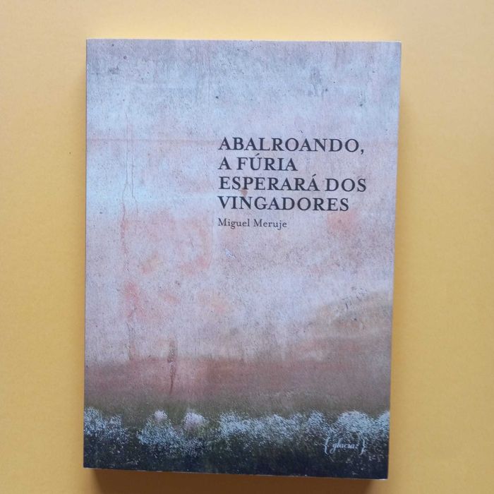 Abalroado, A Fúria Esperará Dos Vingadores - Miguel Meruje