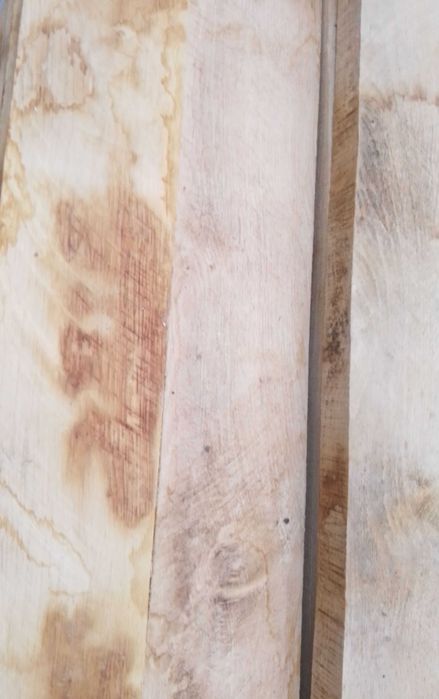 Dębowa deska podłogowa 1200 mm