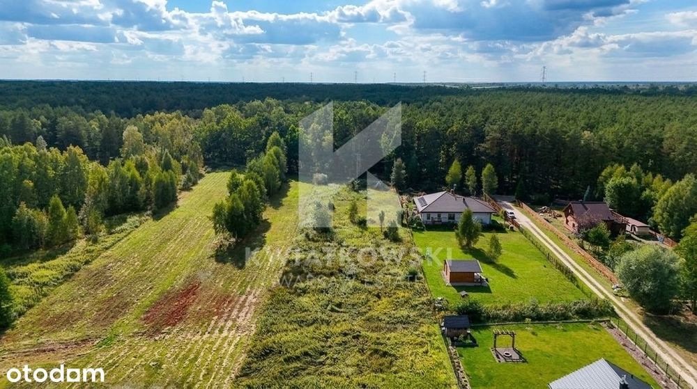 2 x Działka 1270 m² | Kąck, ul. Partyzantów | las - Widok 2