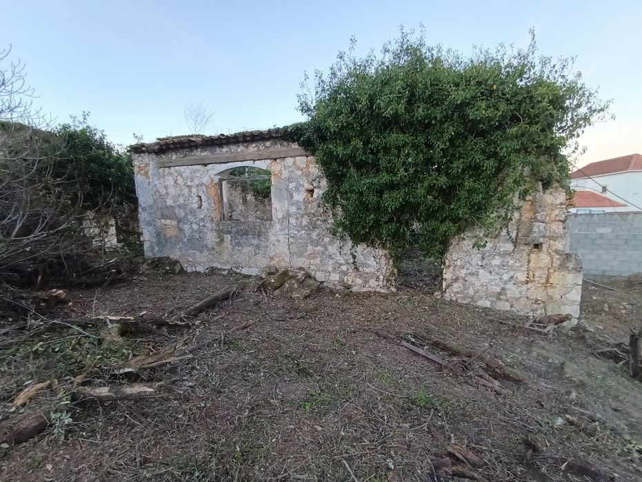 Serviço limpeza terreno/jardins