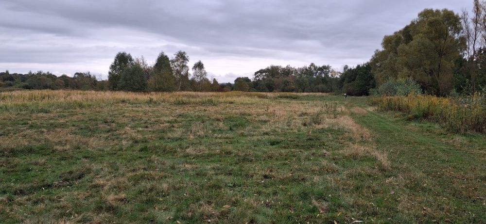 Земельна ділянка 11соток під забудову,Бірки.Без комісії для покупця
