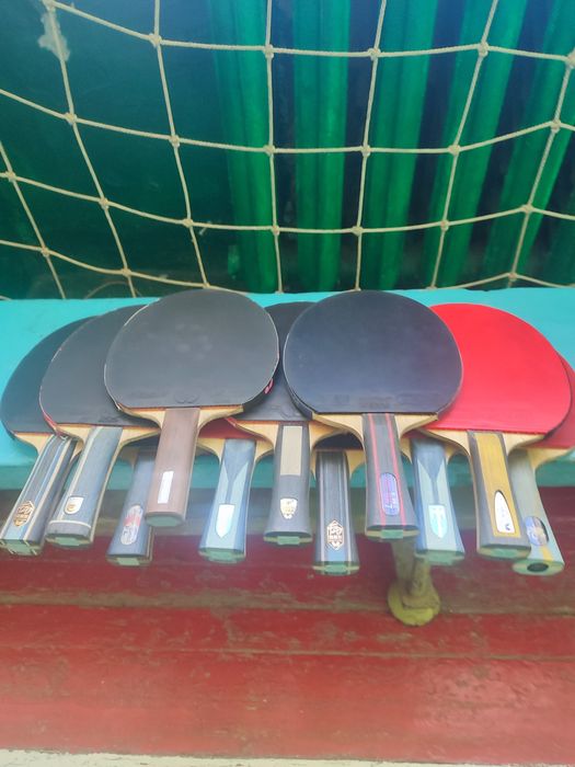 Butterfly sk7 Fan-Zhendong super alc -Peter Korbe Maze offl