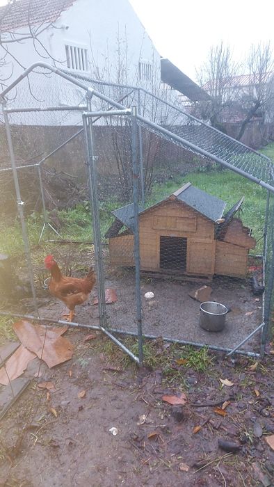 Estou vendendo uma gaiola para animais.