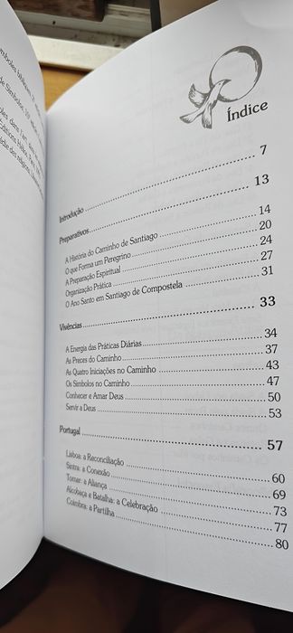 Santiago Pela Via Lunar - livro