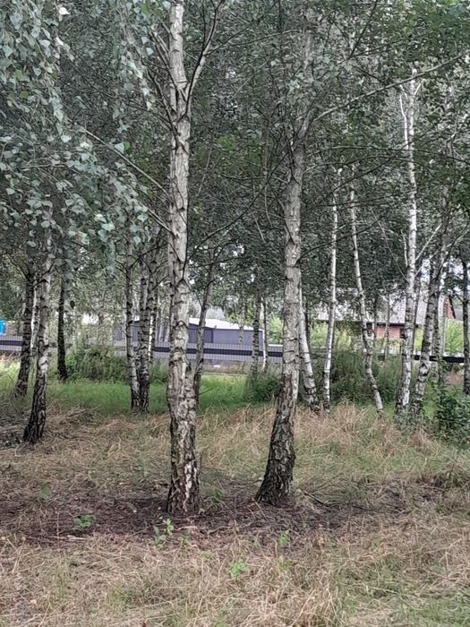 Działka budowlana w Rokitnicy