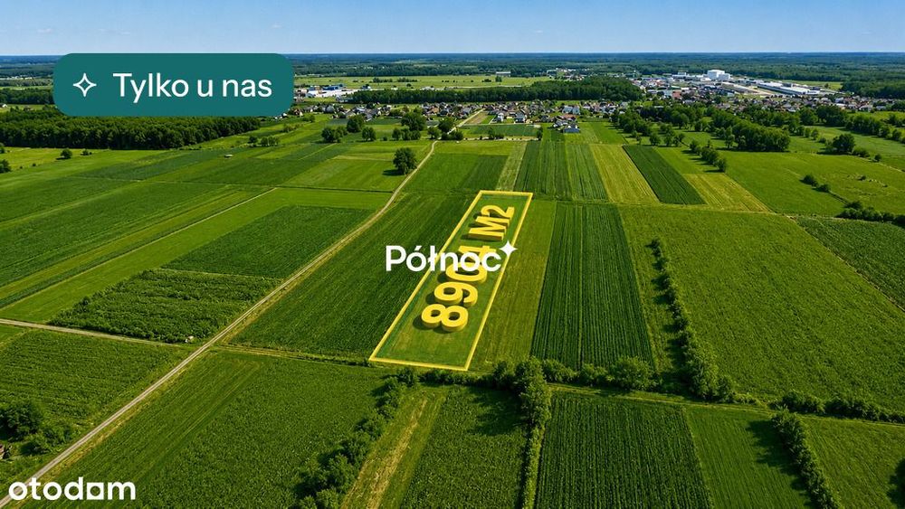 Łąka 8000m2 w  Małaszewiczach Dużych
