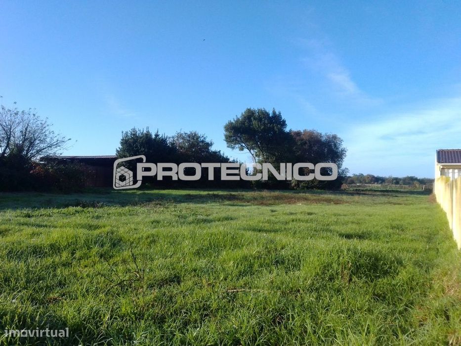 Terreno c/ 1.200m2 – Cacia