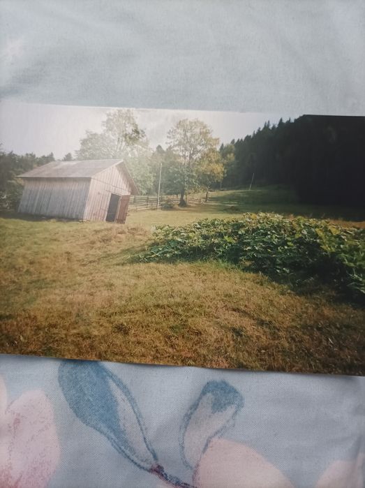 Продам Земельну ділянку у Карпатах