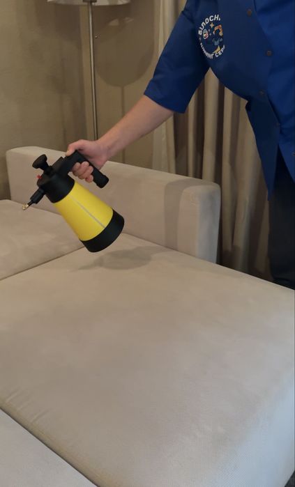 Хімчистка меблів на виїзд «Білосніжка» | Київська область