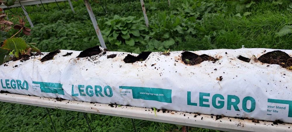 Sprzedam maty uprawowe