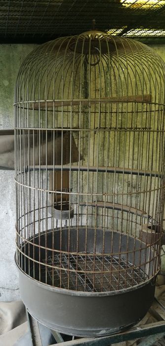 Gaiola para pássaros