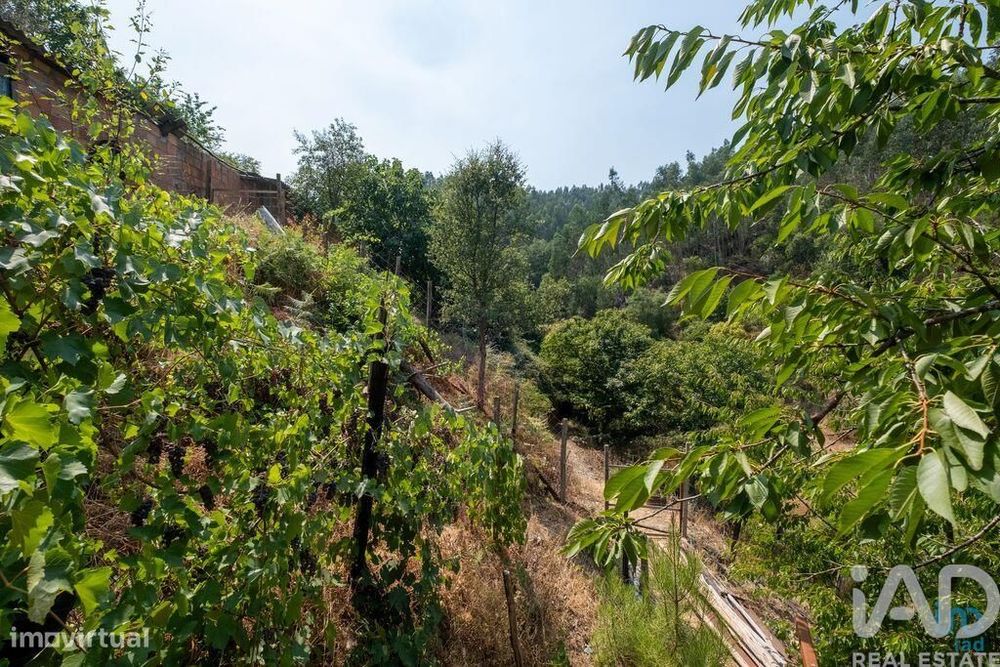 Casa / Villa em Alvares de 477,00 m2