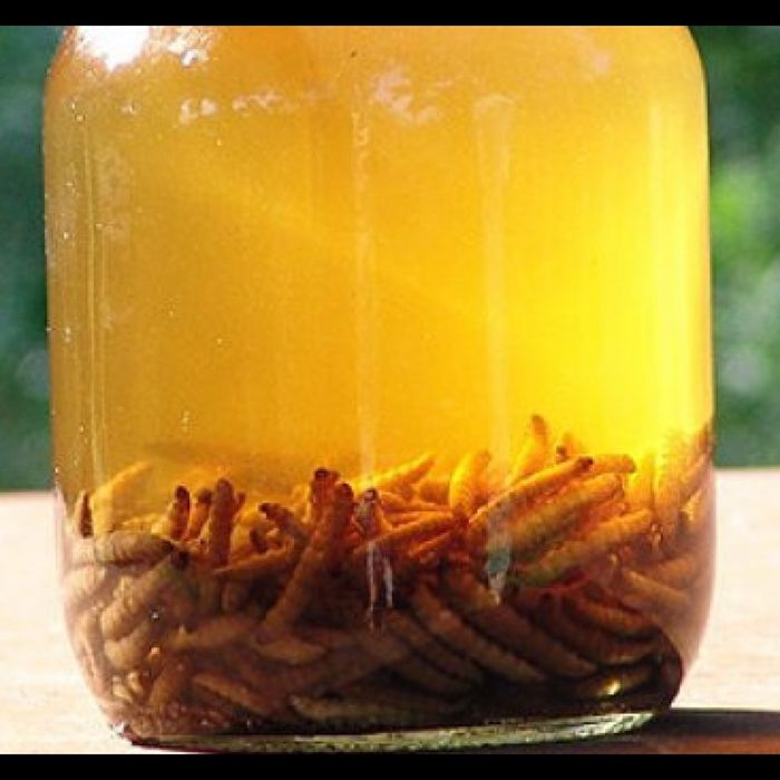 Продаю воскова міль 100 грам