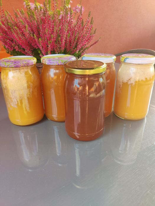 Miód z własnej pasieki