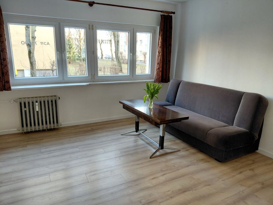 2 pokoje | parter | Bułgarska | zielono | zwierzęta  | bez prowizji