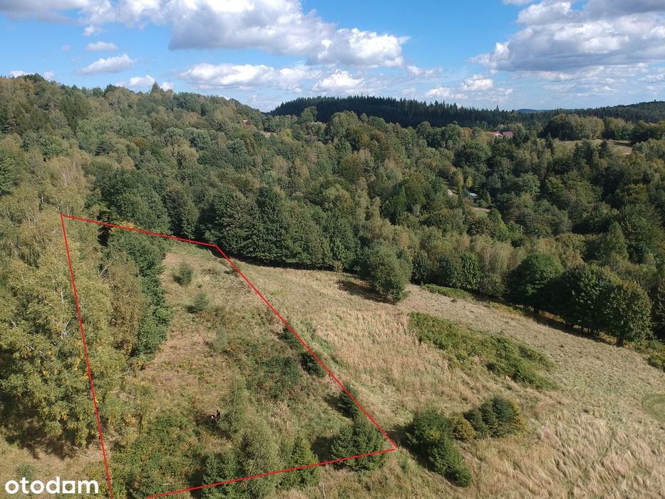 Widokowa działka w Targoszowie