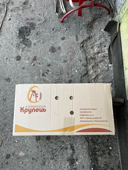 Лотки для яєць на 30 шт. Лотки для яиц / Короб яєчний. Коробка для яиц ...