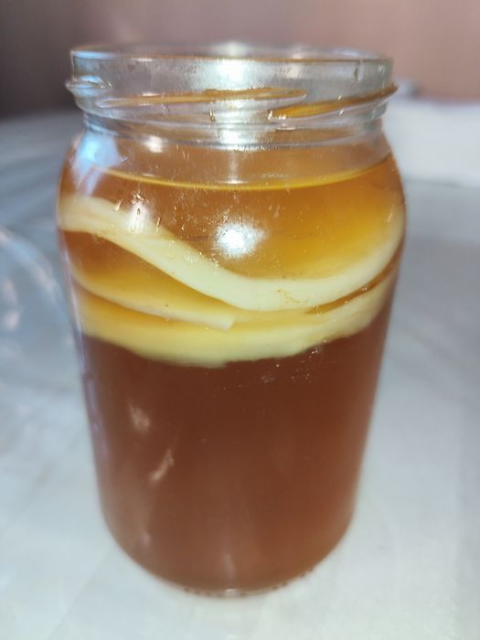 Kombucha-grzybek